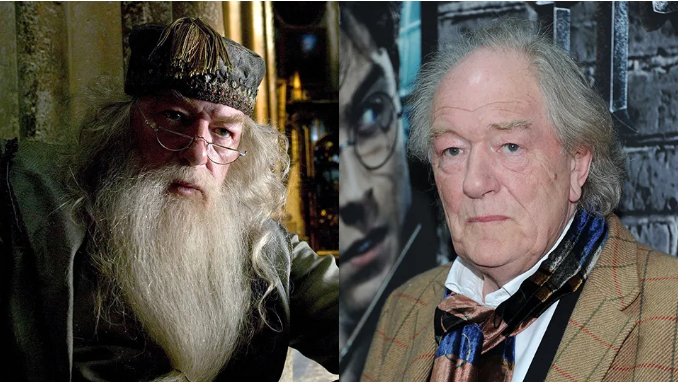 Why did Michael Gambon leave Harry Potter? Why was Michael Gambon replaced in Harry Potter?