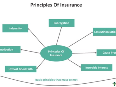 Principles of Insurance: Understanding the Core Principles for Financial Protection
