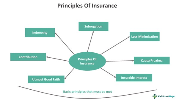 Principles of Insurance: Understanding the Core Principles for Financial Protection